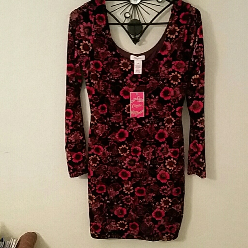 Adorable floral velour dress